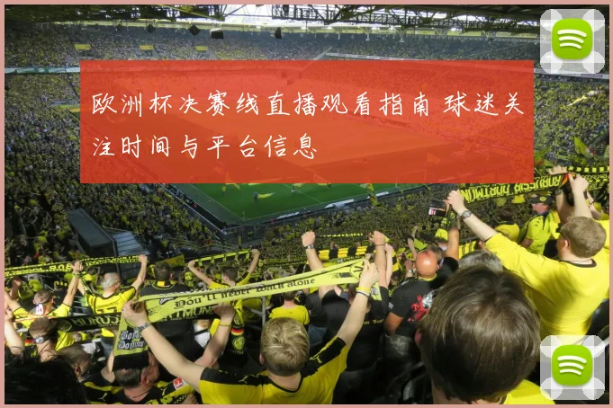 欧洲杯决赛线直播观看指南 球迷关注时间与平台信息