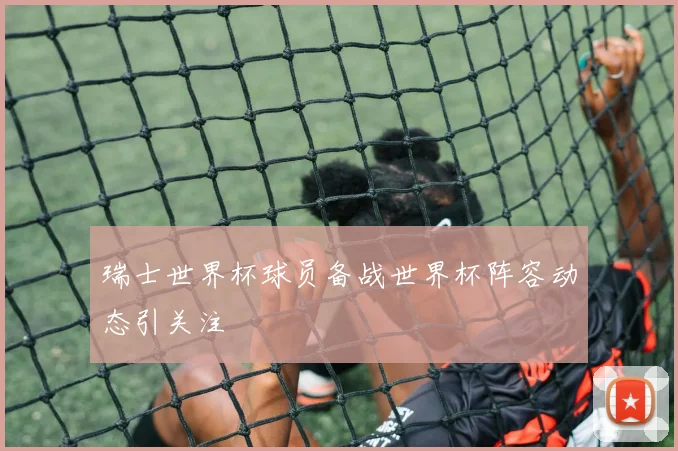 瑞士世界杯球员备战世界杯阵容动态引关注