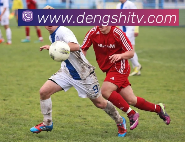 leyu乐鱼在线登录入口手机版APP 高清赛事图